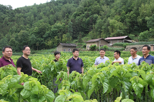 安康市商務(wù)局領(lǐng)導(dǎo)來我公司調(diào)研春蠶收購及扶貧點(diǎn)蠶?；亟ㄔO(shè)情況